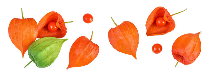 Cape gooseberry, physalis isolated on white background with full depth of field. Top view. Flat lay