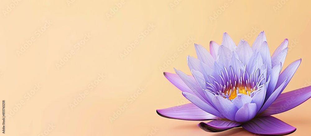 Aufkleber isolated image of purple lotus flower on pastel background. with copy space image. place for adding 