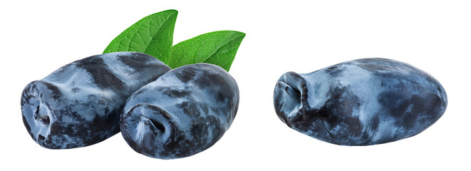 Fresh honeysuckle blue berry isolated on white background with full depth of field © kolesnikovserg