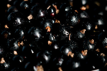 Black currants in a plate on a black background. Berries concept