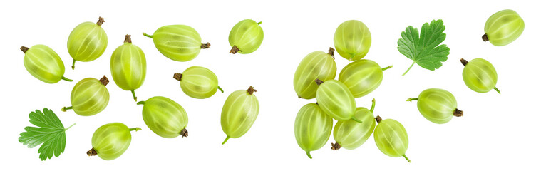 Green gooseberry isolated on white background with full depth of field. Top view. Flat lay