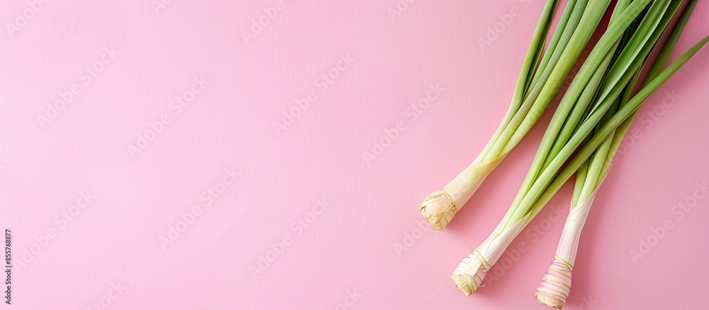 Poster lemongrass isolated on pastel background food isolated. with copy space image. place for adding text