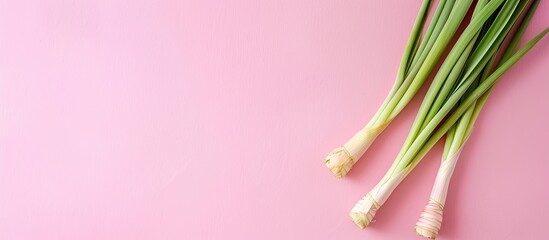 Fototapeta premium lemongrass Isolated on pastel background Food Isolated. with copy space image. Place for adding text or design