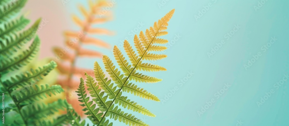 Poster Close up of fern on pastel background isolated Flower. with copy space image. Place for adding text or design
