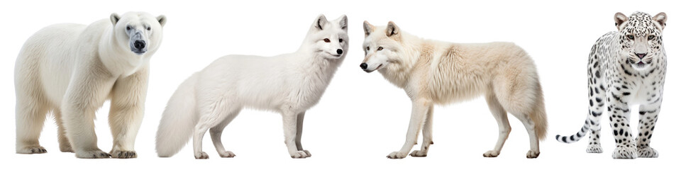 White wildlife animal png cut out element set