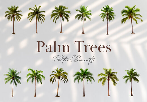 Palm trees Element Design Set With Generative AI