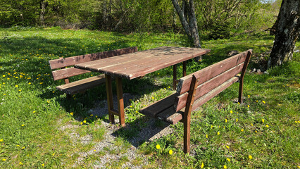 Dilapidated outdoor rural wooden table with two benches and metal frame with faded color surrounded with uncut grass mixed with small flowers and gravel under tall dense trees in local public park