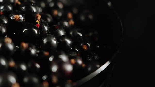 Black currants rotating on a plate on a black background.Berries concept 4k