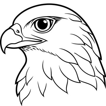 recommend clip art: Hawk head vector line art and linocut illustration
                    