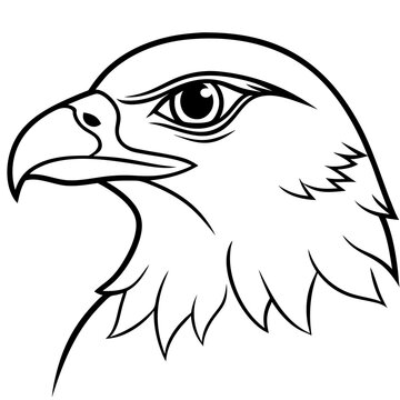 recommend clip art: Hawk head vector line art and linocut illustration