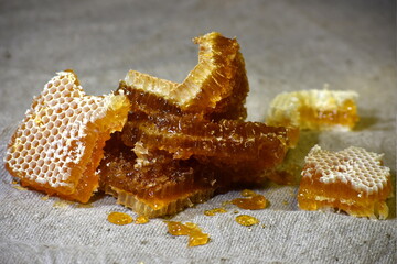 Pieces of honeycombed honey on gray linen cloth, illustration of honey processing