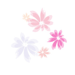Falling cherry blooming flower parts vector..