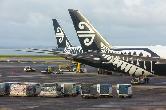 Air New Zealand 787-9 Dreamliners at Auckland International Airport, Auckland, New Zealand. Cargo is being loaded onto the planes. June 3, 2024