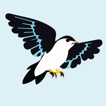 flying black and white bird on blue background clip art preview