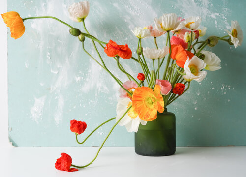 green vase with a mono bouquet of multi-colored poppies on a blue background