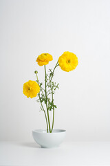 composition with a bouquet of yellow ranunculus flowers in a white bowl on a white background