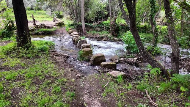 Walking across a bridge of stones over a stream at Percurso Pedestre de Galegos in Portalegre District in Portugal