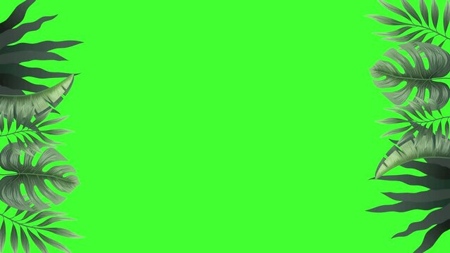 2D animation of realistic tropical leaves frame, leaves moving in wind appear at left and right. Seamless loop animation, green screen background. Custom text space. perfect for summer, ads, promotion