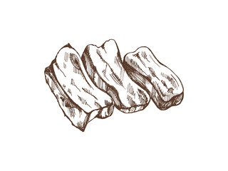 Hand-drawn monochrome vector sketch of barbecue ribs. Doodle vintage illustration. Decorations for the menu of cafes and labels. Engraved image.