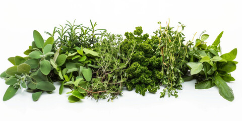 Obraz premium Herbs on white background