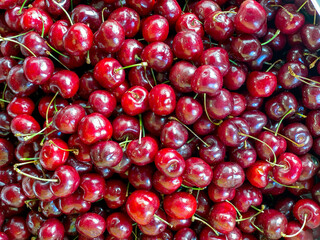 A pile of freshly picked, juicy, red cherries with stalks. Top view.