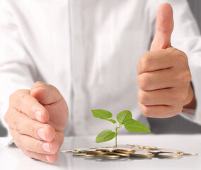 Businessman holding plant sprouting from a handful of coins