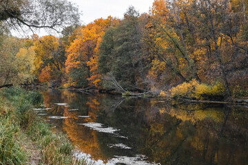 Obraz premium Scenic colorful autumn trees and green grass reflecting in water of the Siverskyi Donets River