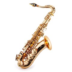 saxophone in plain background