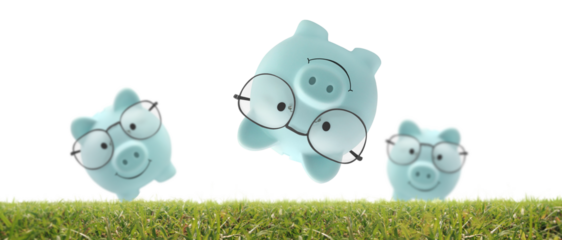 Piggy bank grass as fokaw, coin to Saving