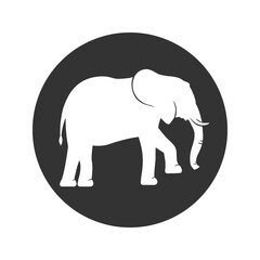 Базовый фон