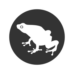 Frog icon silhouette in flat vector