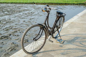 Obraz premium Antique Dutch bicycle on the edge of a rice field