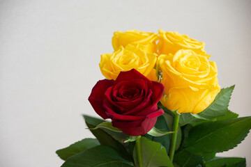 赤と黄色のばら