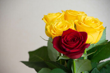 赤と黄色のばら