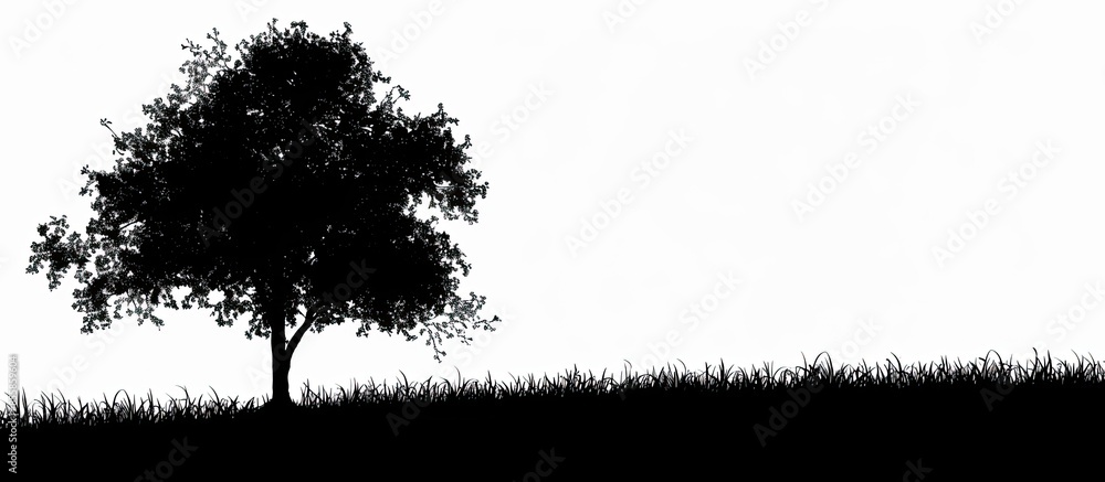 Poster a tree silhouette. Copy space image. Place for adding text or design