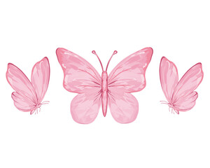 pink watercolor butterfly design