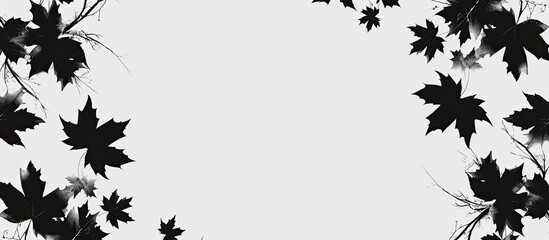 Naklejka premium Black and white decorative round frame with maple leaves silhouettes. Raster clip art. pastel background. with copy space image. Place for adding text or design
