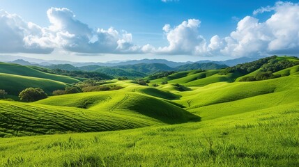 Obraz premium Rolling hills with lush green grass and a bright blue sky