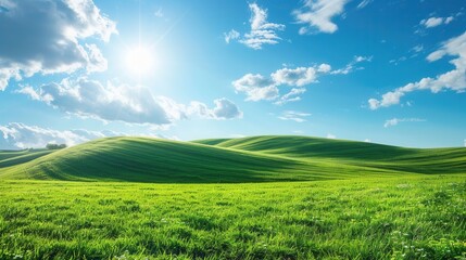 Fototapeta premium Rolling hills with lush green grass and a bright blue sky