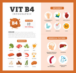 Set of vitamin B4 Infographic poster design labeled Benefit, deficiency and source dietetic organic nutrition products, Organic nutrition, food containing potato, wheat, salmon, shrimp, beef liver
