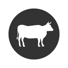 Cow icon in solid flat style vector