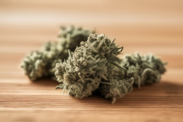 Tightly trimmed, cured cannabis bud with frosty amber trichomes. Vibrant shades of purple, green hues. Dense, compact calyxes reveal hints of orange pistils.