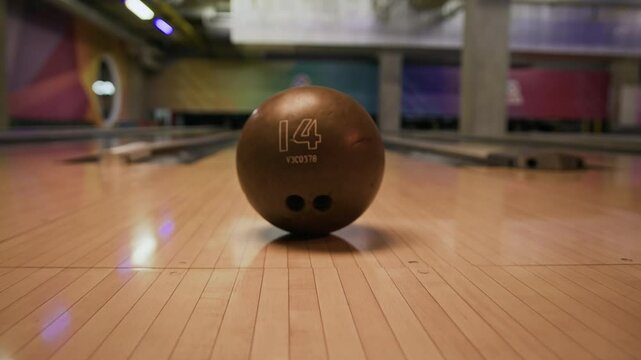 No people dolly-in shot of colored 14 number bowling ball with holes for fingers put on lane and prepared for throw