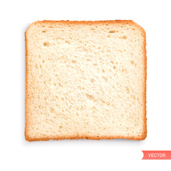 Toast sliced bread realistic composition isolated on white background. Square piece of bread. Top view