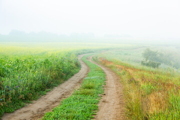 landscape and beautiful green nature in the Republic of Moldova, a small friendly country in Eastern Europe.