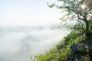 Very beautiful landscape with fog in Europe