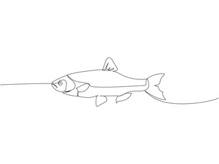 Fototapeta premium fish, sea fish, river fish, herring, goby, bream one line art. Continuous line drawing of farm, nature, agriculture, fish farming, fishing.