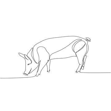 recommend clip art: pig, wild boar, livestock, piglet one line art. Continuous line drawing of farm, nature, agriculture, farm animals, rural life, ranch.