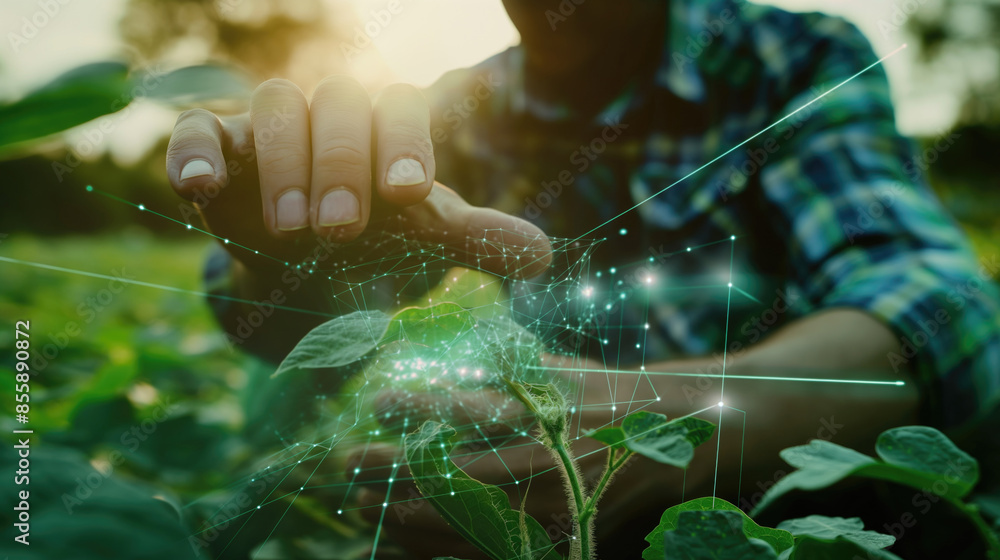 Poster hands analyzing plant data with holographic interface in the field background. futuristic farming an