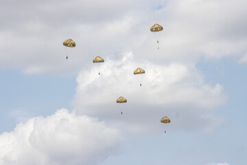 German paratroopers (Fallschirmjäger) descend from aircraft with parachutes during a NATO exercise. Demonstrating precision and teamwork, they conduct a tactical jump for rapid deployment in joint mil